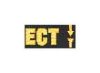 ECT
