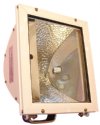 Show product details for FLOODLIGHT 500W QUARTZ/HAL PHOENIX PRODUCTS (MS500QH)