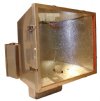 Show product details for FLOODLIGHT 1000W HPS SS PAULUHN (NHIDLS10IB)