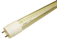 LED TUBE 2FT T8 SMD 5500K COOL WHITE GREENRAY - GREEN RAY LED CORP. (T82-55C9S160N)