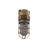 LED VAPORPROOF FIXURE, BRASS, 17W, 5600K, CEILING MOUNT, 100-277VAC, PHOENIX, VB-C-17LED-CW-FGC