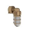 LED VAPORPROOF FIXTURE, BRASS, 17W, 5600K, WALL MOUNT, 100-277VAC, PHOENIX, VB-W-17LED-CW-FGC